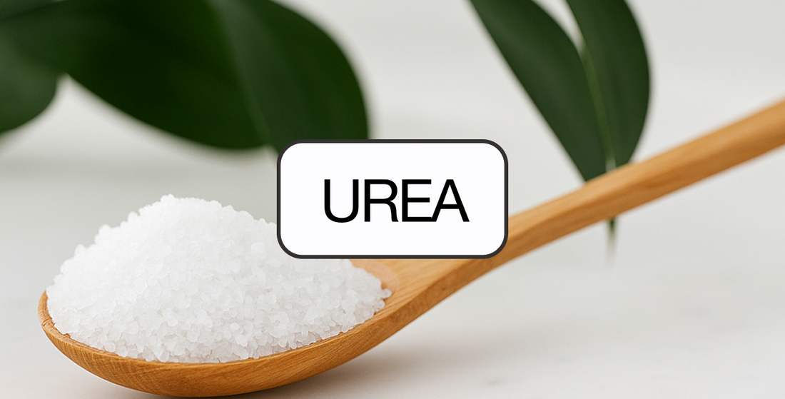 Better than hyaluronic acid? Let’s talk urea