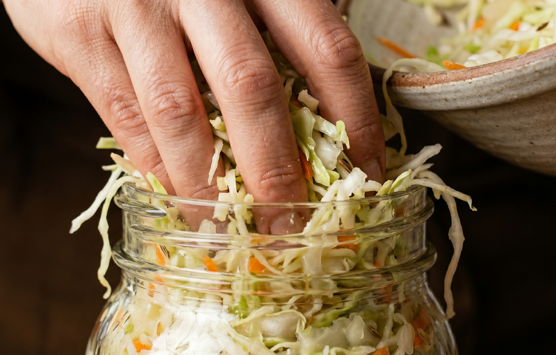 Guide to Fermentation